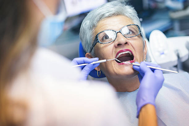 Trusted Bull Valley, IL Dental Services Experts